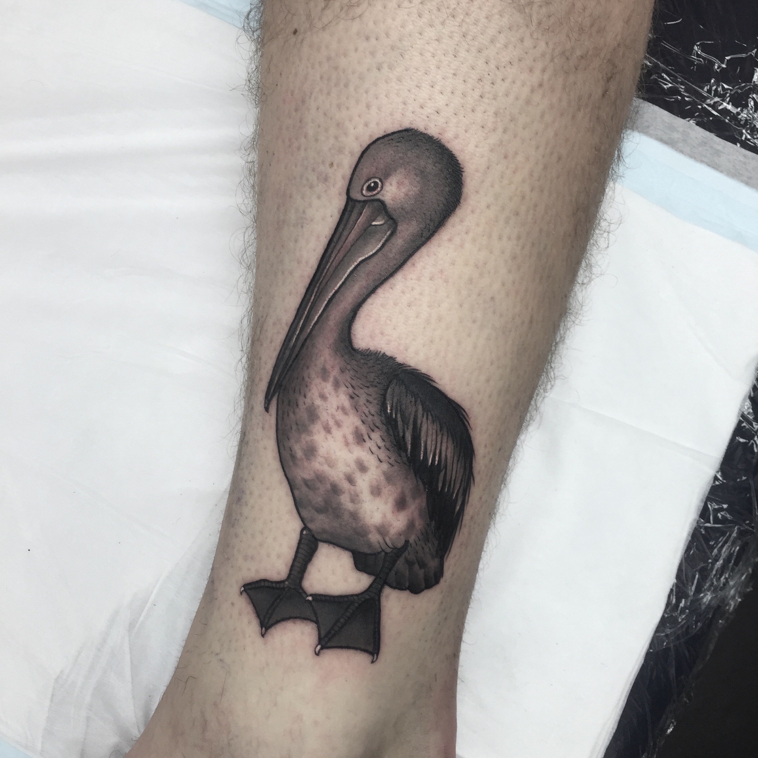 Meaning of pelican tattoo